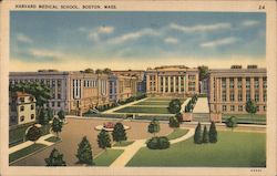 Harvard Medical School Postcard