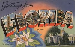 Greetings from Florida Large Letter Postcard Postcard Postcard