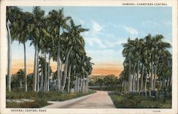 Central Road Havana, Cuba Postcard Postcard Postcard