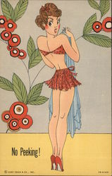 No Peeking! Swimsuits & Pinup Postcard Postcard Postcard