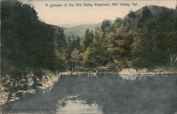 A glimpse of the Mill Valley Reservoir California Postcard Postcard Postcard