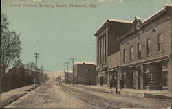 Centre Avenue, Looking South Postcard