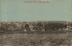 BIrd's-Eye View Postcard