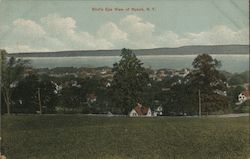 Bird's Eye View Postcard