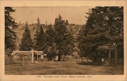 Cottage and Trees Mesa Grande, CA Postcard Postcard Postcard