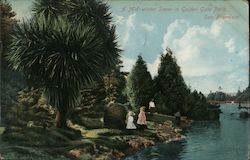 Mid-winter Scene in Golden Gate Park Postcard