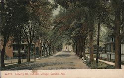 Liberty St. Postcard