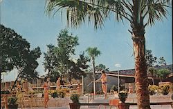 the Panorama Inn Silver Springs Shores, FL Postcard Postcard Postcard