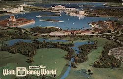 Walt Disney World Resort Postcard