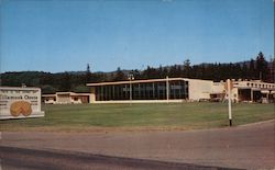 Home of Tillamook Cheese Oregon Postcard Postcard Postcard