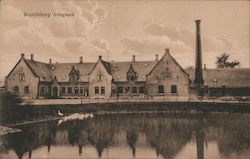 Wedellsborg Avlsgaard Postcard