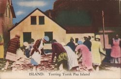 Island: Torring Torsk Paa Island Postcard