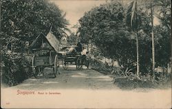 Singapore. Road in Seremben. Postcard