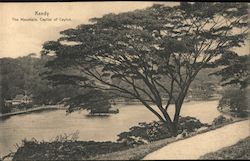 Kandy, The Mountain Capital of Ceylon Postcard