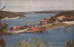 View of Middle Harbour Postcard