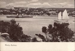 Manly Harbour Postcard