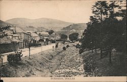 Burnside and Street Scene Dollar, Scotland Postcard Postcard Postcard