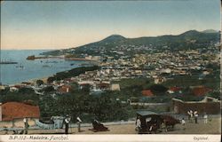 Madeira Funchal Postcard