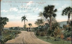 Isle of Pines - One of the Government roads - Isla de Pinos Carretera Postcard