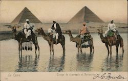 Troupe of Camels and Pyramids Cairo, Egypt Africa Postcard Postcard Postcard