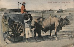 Bullock Water cart Postcard