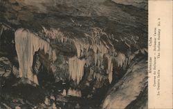 Bellamar Caves Postcard