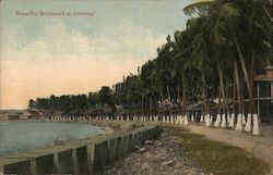 Beautiful Boulevard at Cristobal Mexico Postcard Postcard Postcard