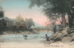 View of Shiuzenji Postcard