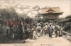 Wisteria Blossoms, Kameido Shrine Postcard