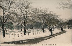 Snow Scene in the Park Yokohama, Japan Postcard Postcard Postcard