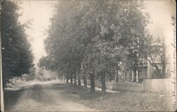 This Is The Street I Live On Elmira, NY Postcard Postcard Postcard