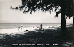 Scene at Pass-a-Grille Beach St. Petersburg, FL Postcard Postcard Postcard