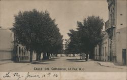 Calle del Comercio, La Paz, B.C. Mexico Postcard Postcard Postcard