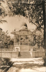 El Zócalo Postcard