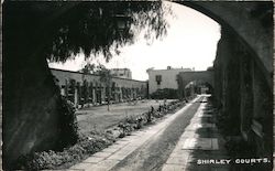 Shirley Courts Mexico City, Mexico Postcard Postcard Postcard