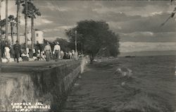 Chapala Jal. Mexico J. Gonzalez Postcard Postcard Postcard