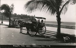 Man in Horse Cart Mazatlán, Mexico Postcard Postcard Postcard