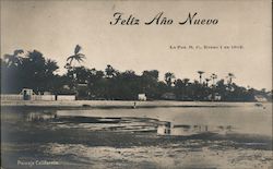 "Feliz Año Nuevo" La Paz, Mexico Postcard Postcard Postcard