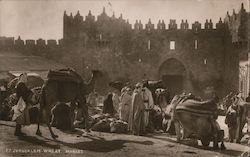 Wheat Market, Camels, City Wall, Damascus Gate Jerusalem, Israel Middle East Postcard Postcard Postcard