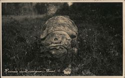 Mayan sculpture in the ruins of Quirigua, Guatemala Central America Postcard Postcard Postcard