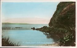 Scenic Road, North Head Postcard