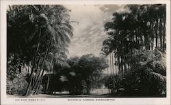 Botanical Gardens Postcard