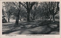 Alexandra Avenue Postcard