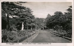 The Main Avenue, Fitzroy Gardens Melbourne, Australia Postcard Postcard Postcard