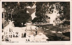 View at Central Springs Mineral Reserve Postcard