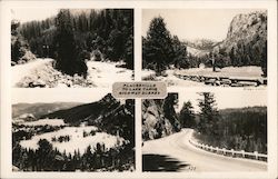 Placerville to Lake Tahoe Highway Scenes Nature California Postcard Postcard Postcard