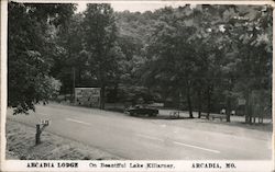 Arcadia Lodge Resort on Lake Killarney Postcard