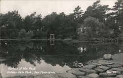 Portal of the Past, Golden Gate Park San Francisco, CA Postcard Postcard Postcard