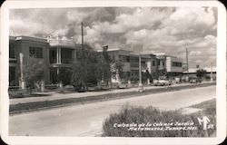 Calzada de la Colonia Jardín Postcard