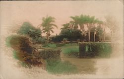 Moanalua Gardens Park, Tinted Photo Honolulu, HI Postcard Postcard Postcard